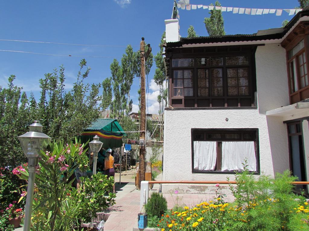 Ashoka Ladakh Hotel Leh Buitenkant foto