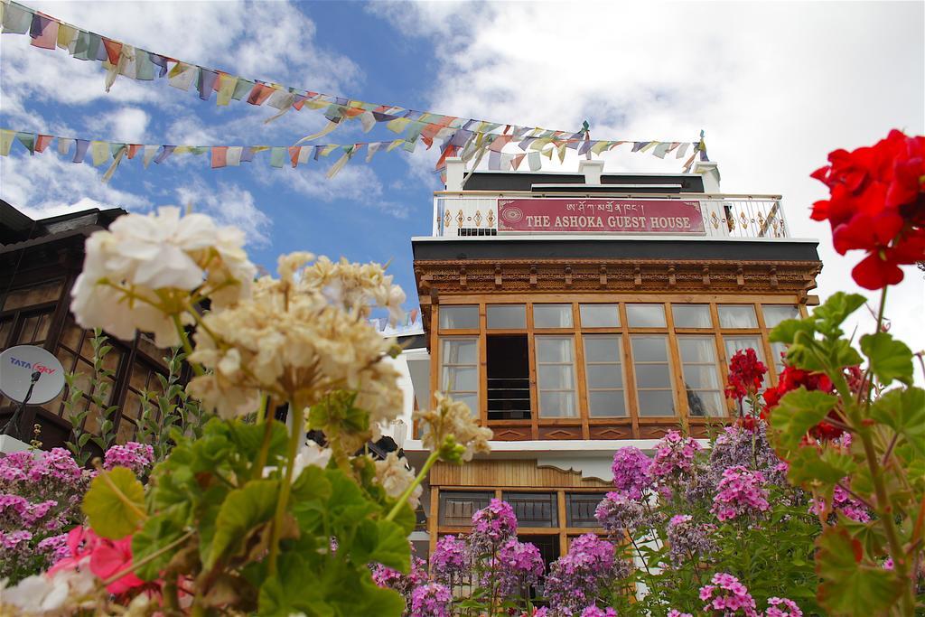 Ashoka Ladakh Hotel Leh Buitenkant foto
